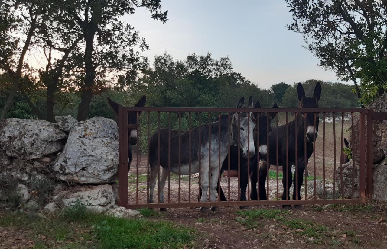 Pietra D'Angolo Locorotondo Exteriér fotografie